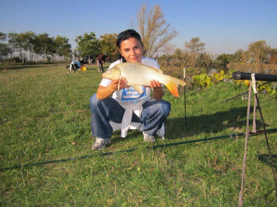 2012-2013 - 31123944243964407571060534958n1.jpg